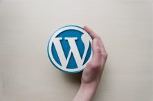 WordPress e l’errore “Attualmente è in corso un altro aggiornamento.”